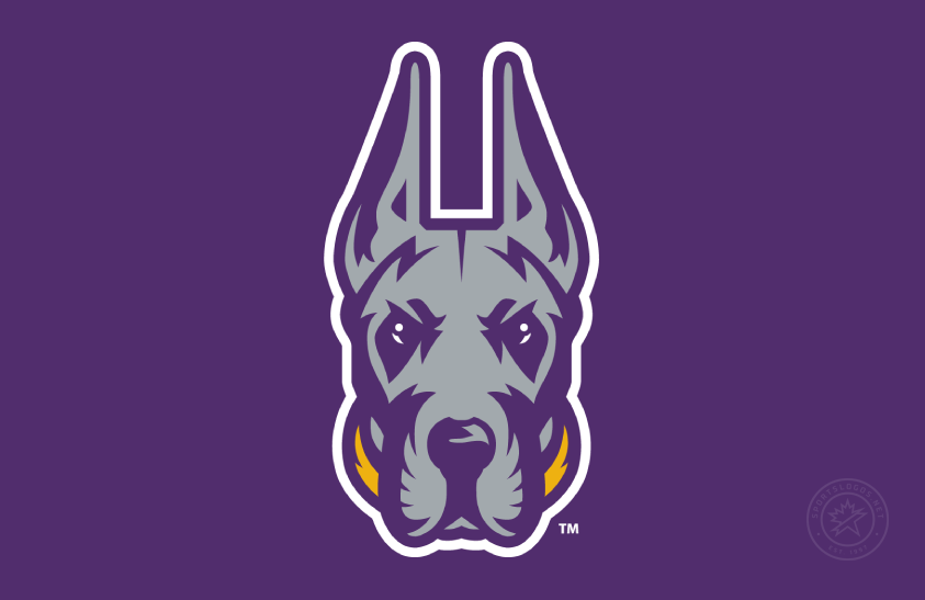 Albany Great Danes 2023-Pres Primary Dark Logo diy iron on heat transfer